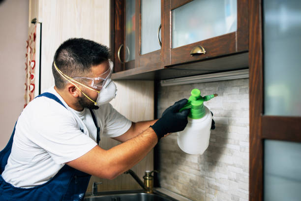 Best Wasp Removal Services  in Myrtle Point, OR