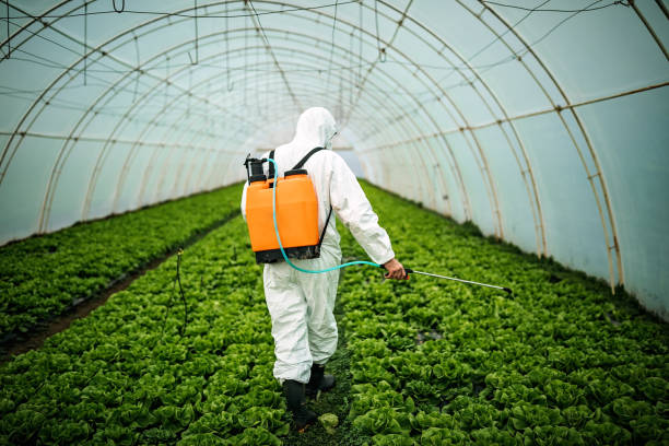 Best Pest Prevention Services  in Myrtle Point, OR
