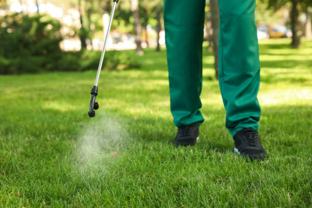 Best Wildlife Control Services  in Myrtle Point, OR