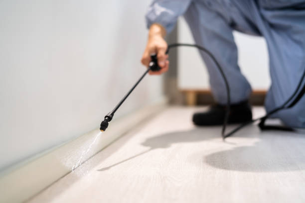 Best Best Pest Control Companies  in Myrtle Point, OR