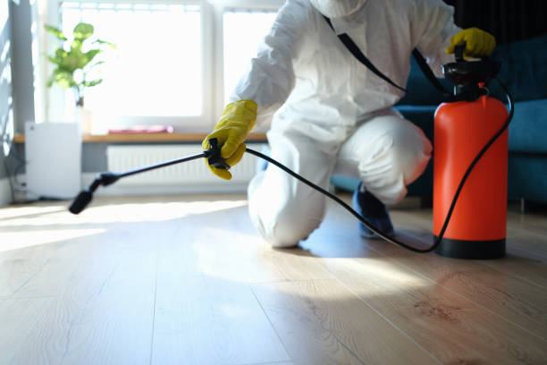 Flea Control Services in Myrtle Point, OR