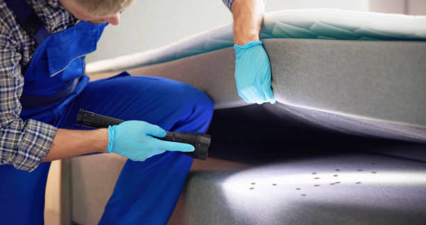 Best Ant Control Services  in Myrtle Point, OR