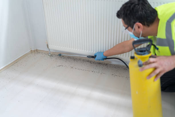 Best Ant Control Services  in Myrtle Point, OR